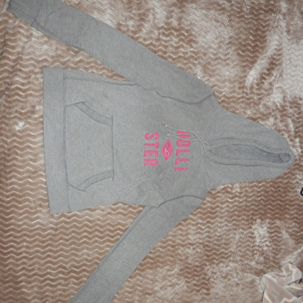 Hoodie (Hollister)